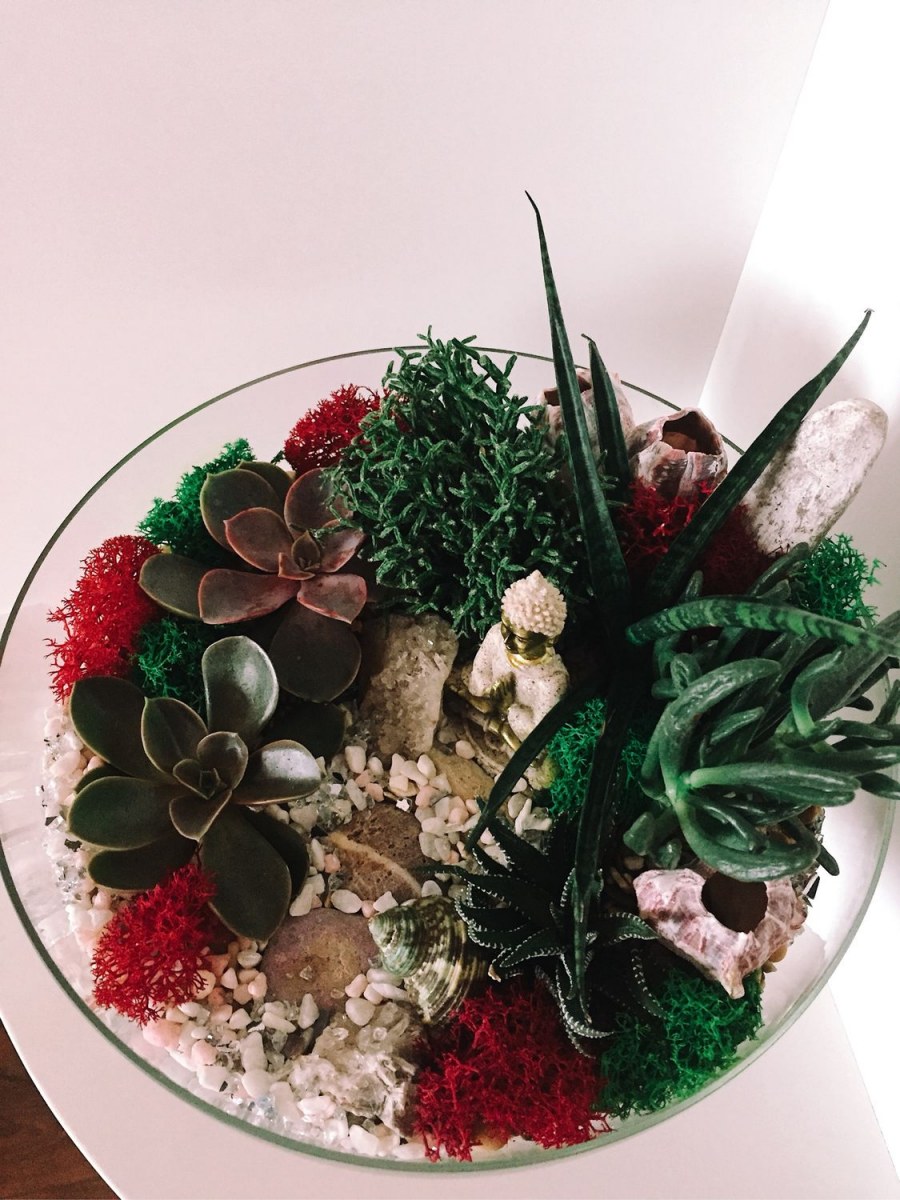 Флорариум с суккулентами
