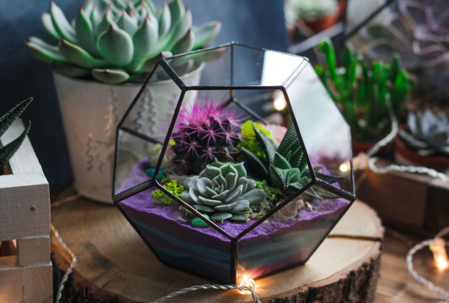 Флорариум додекаэдр