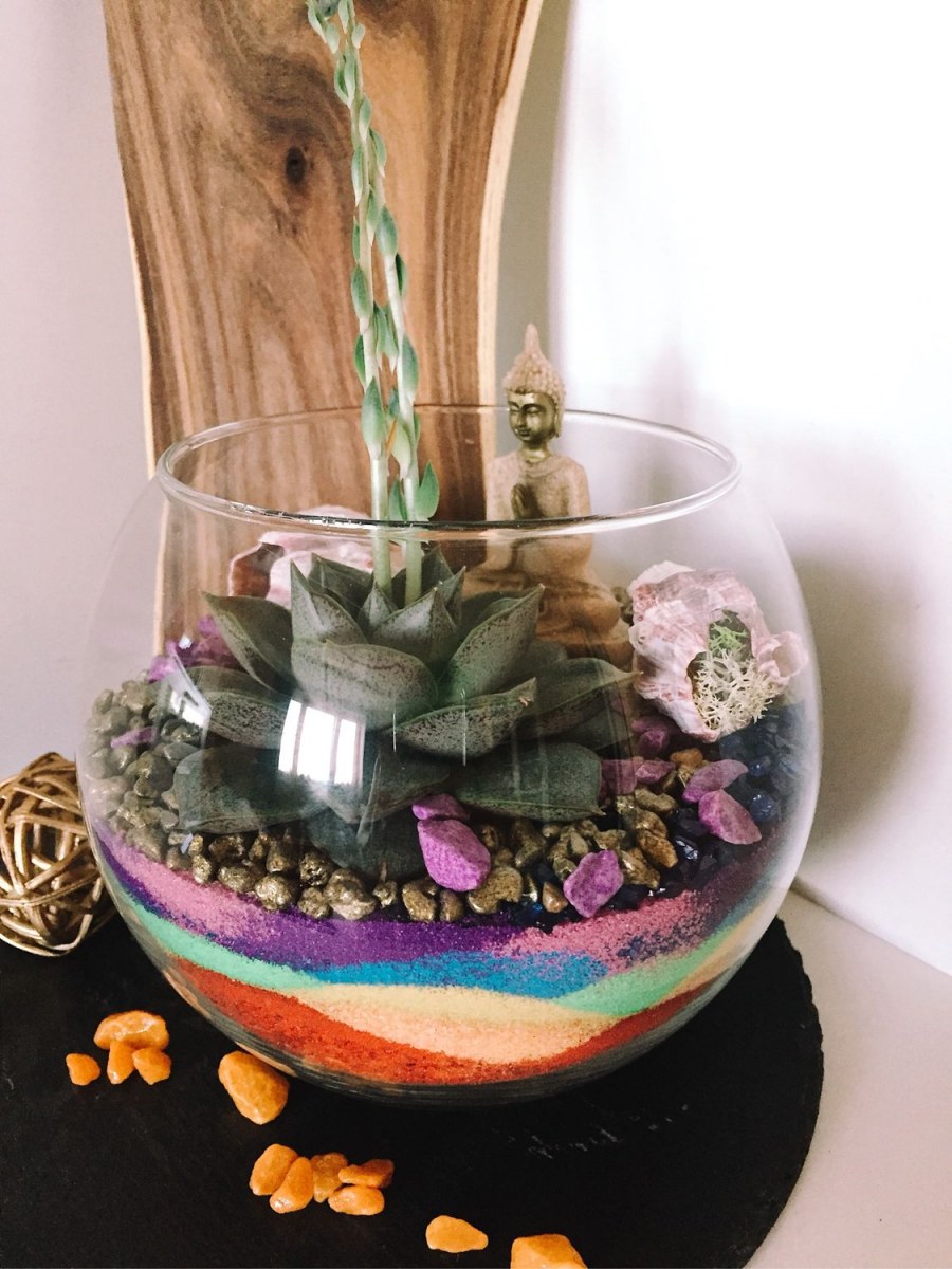 Флорариум с литопсами