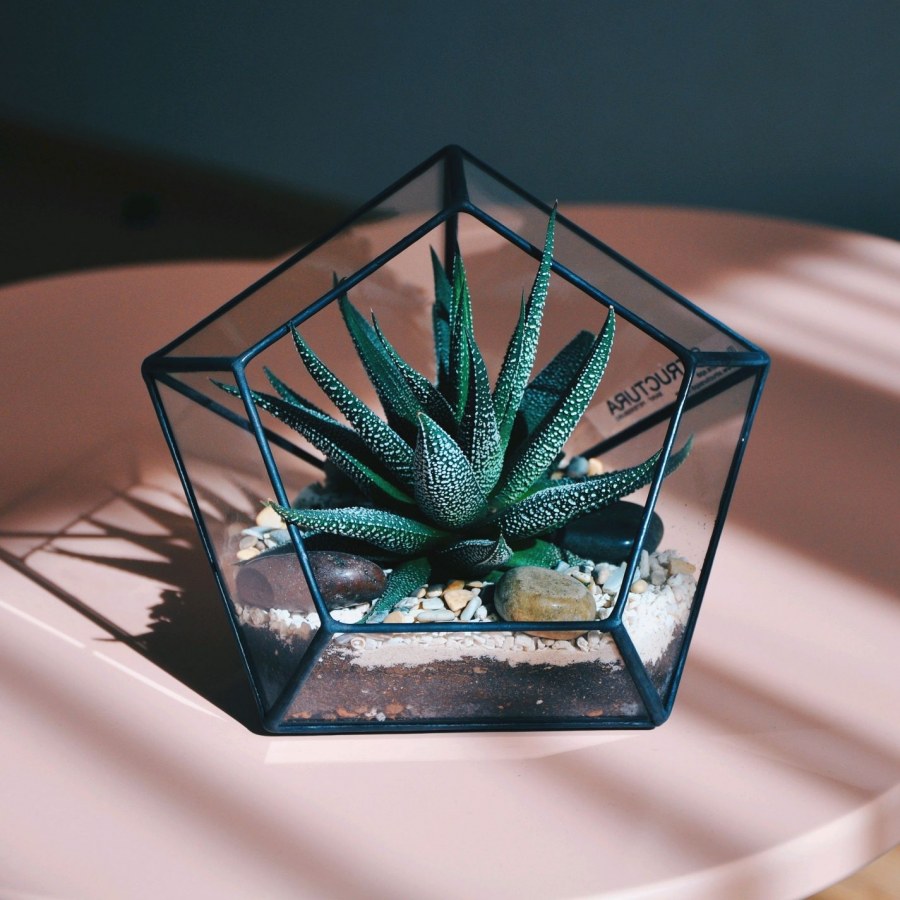 Флорариум Айсберг