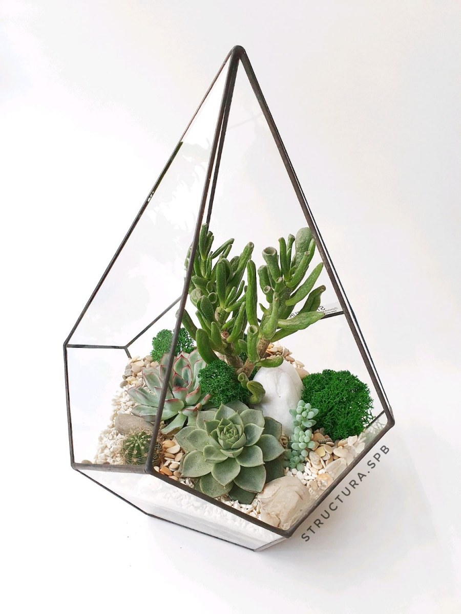 Орегон флорариум