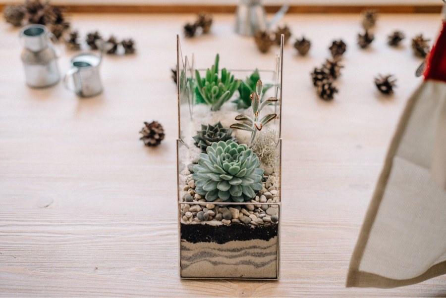 Флорариум Альпы