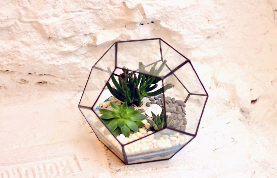 Флорариум Мальдивы