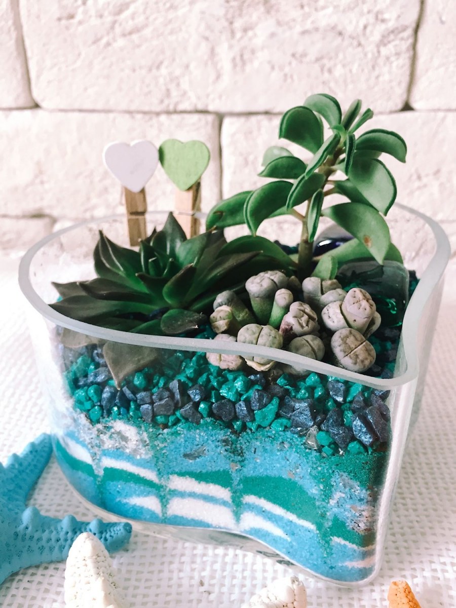 Флорариум с кактусами и суккулентами