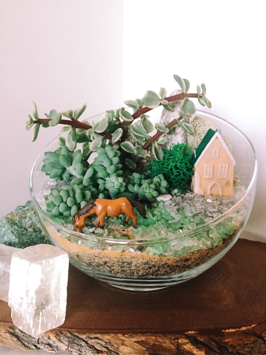 Флорариум из суккулентов