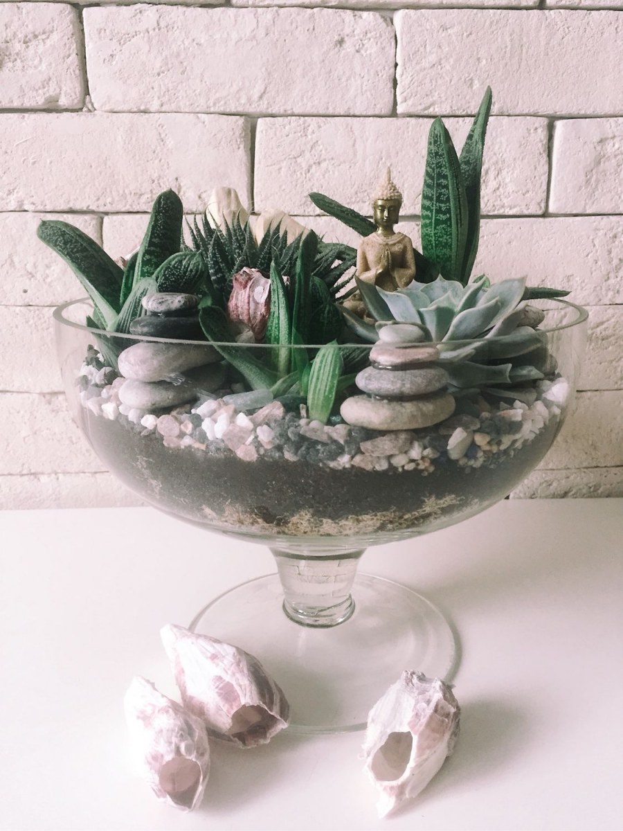 Флорариум с Буддой