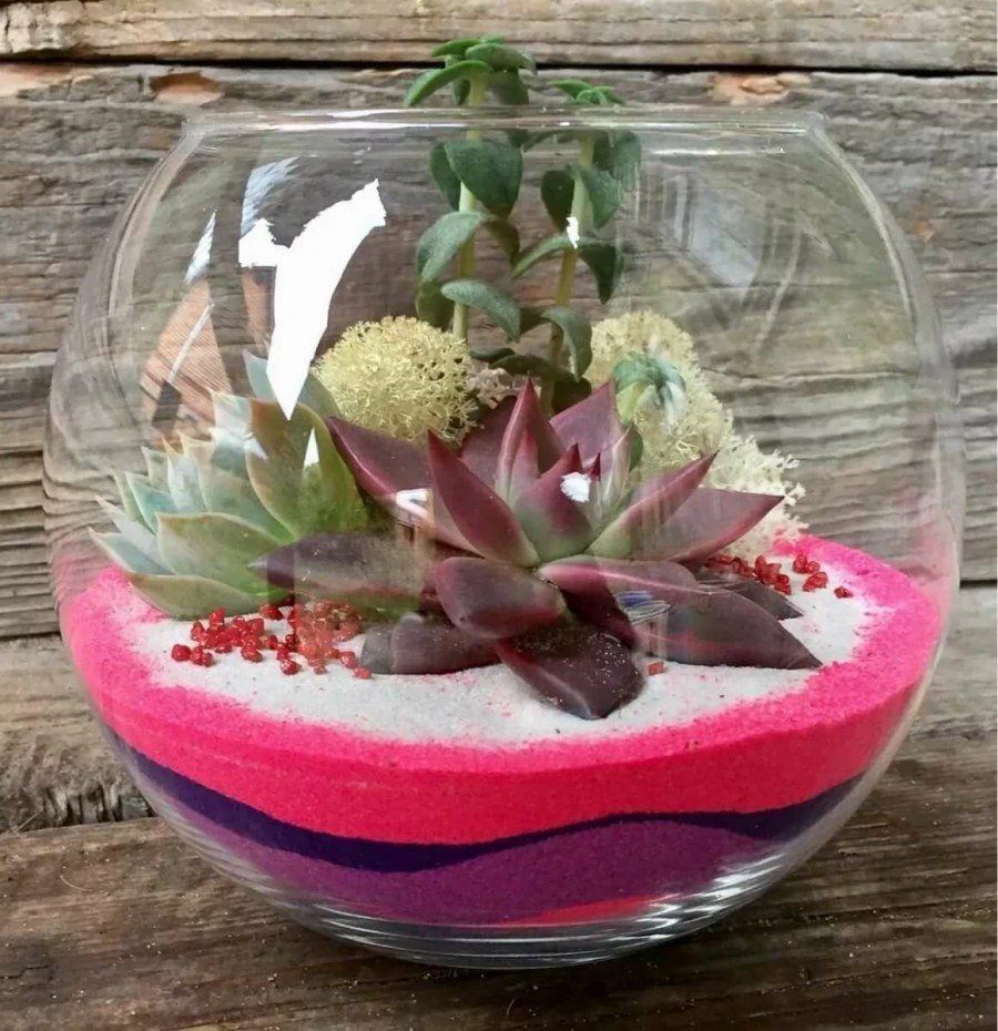 Флорариум с Красулой