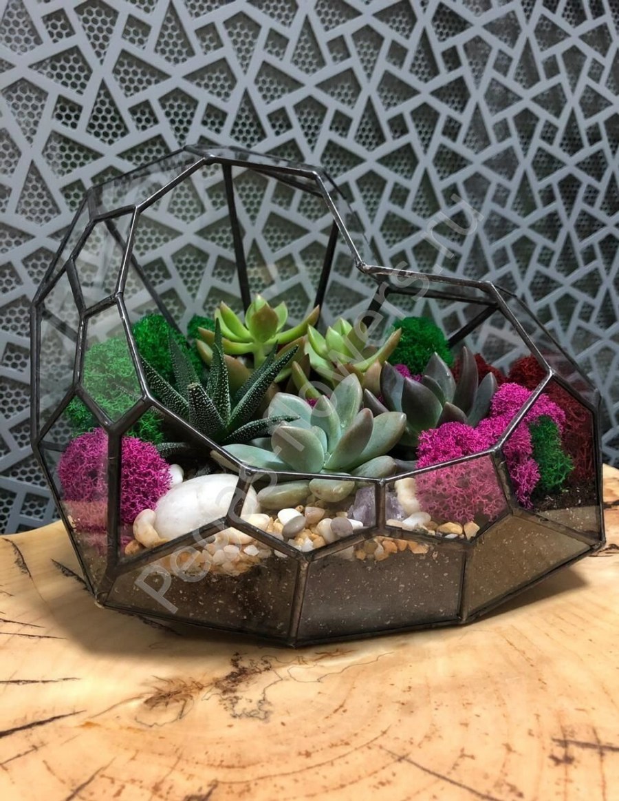 Растения в стеклянных сосудах