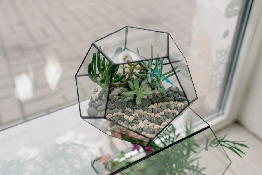 Флорариум морской Бриз