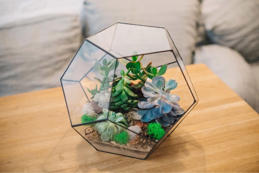 Флорариум "Невада"