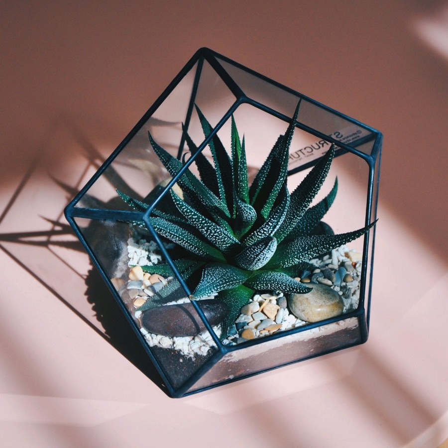 Орегон флорариум