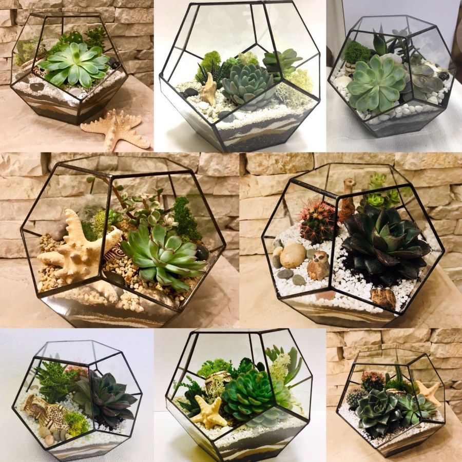 Glass grass флорариум