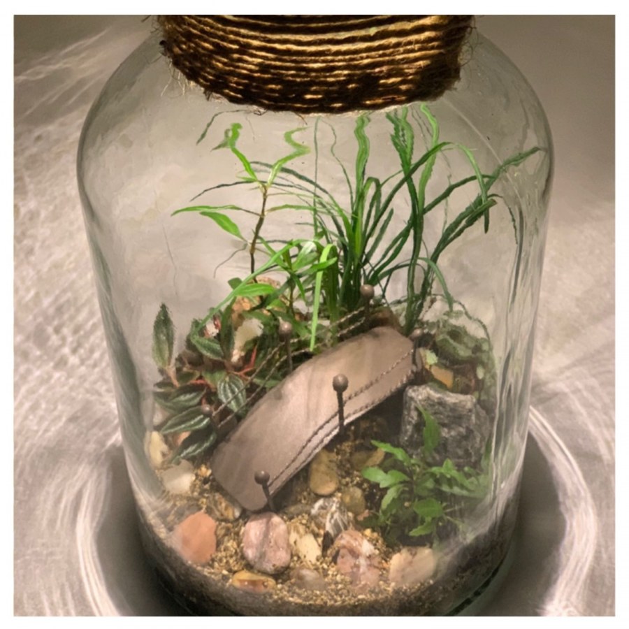 BIOBOX: флорариум