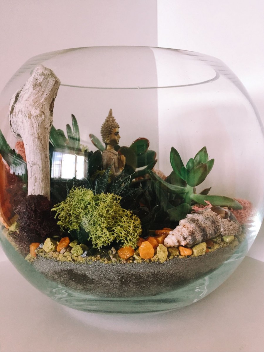 Флорариум Shire