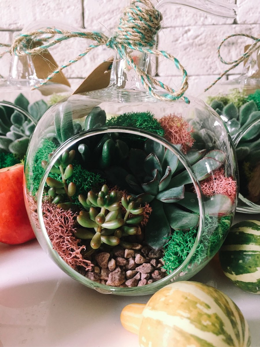 Мини флорариум с суккулентами