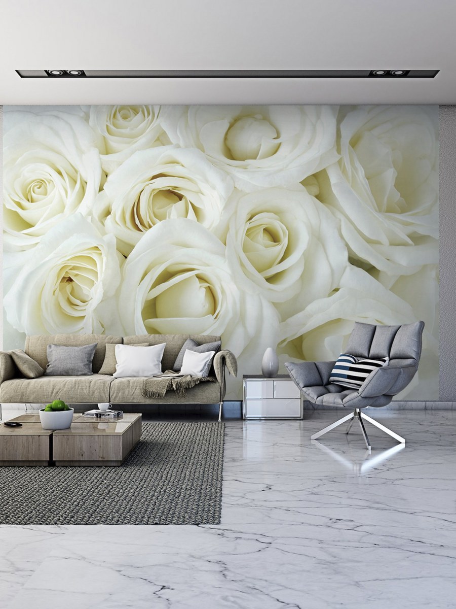 Фотообои в зал