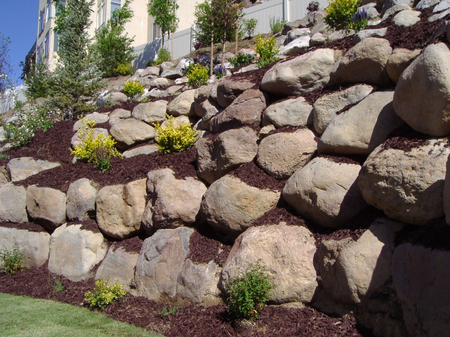 Сантолина в альпийской Горке