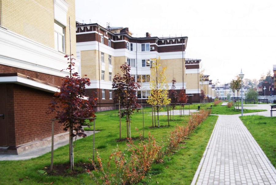 Салтыковка Престиж