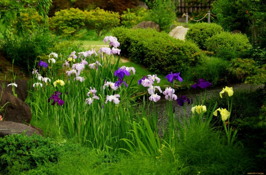 Цветник у воды