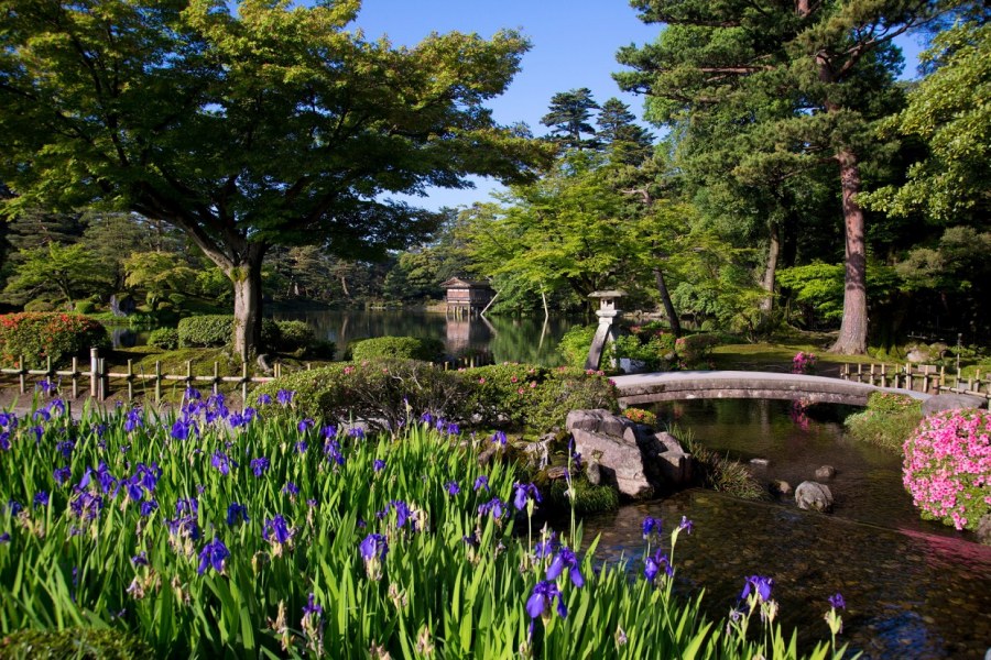 Водный сад ирисов. Савара, Япония