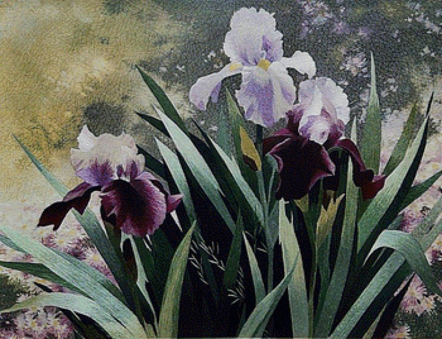 Эстамп ирисы