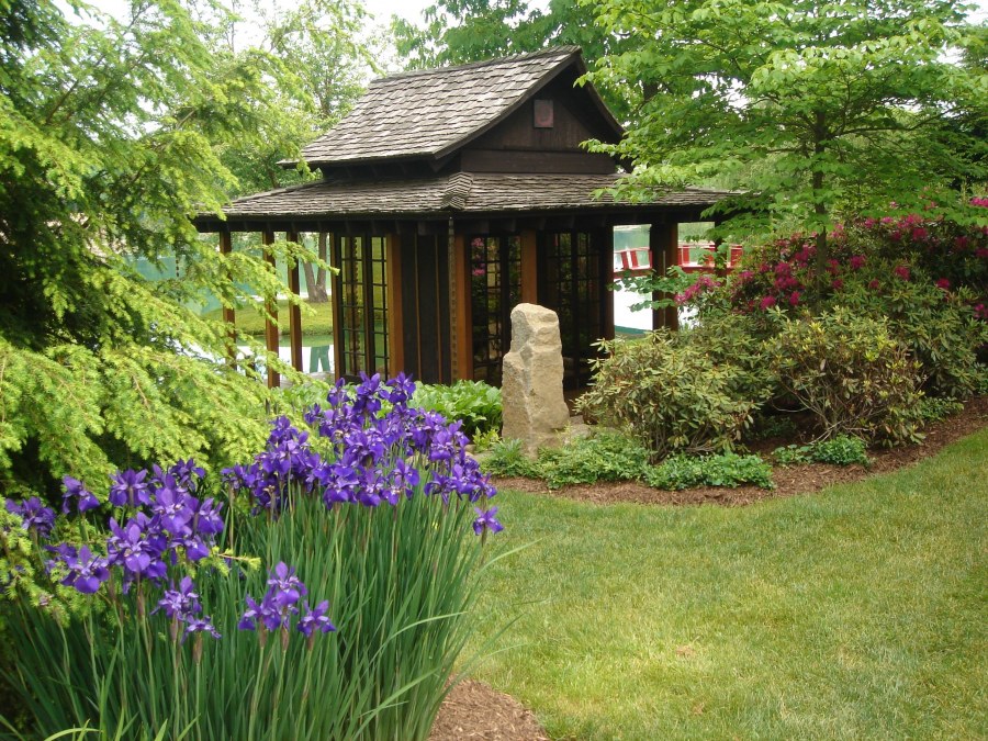 Красивый сад