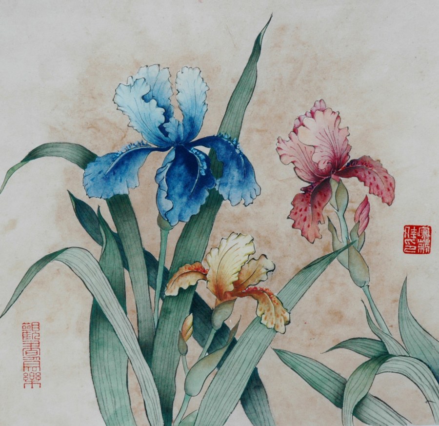 Ирисы в саду манж