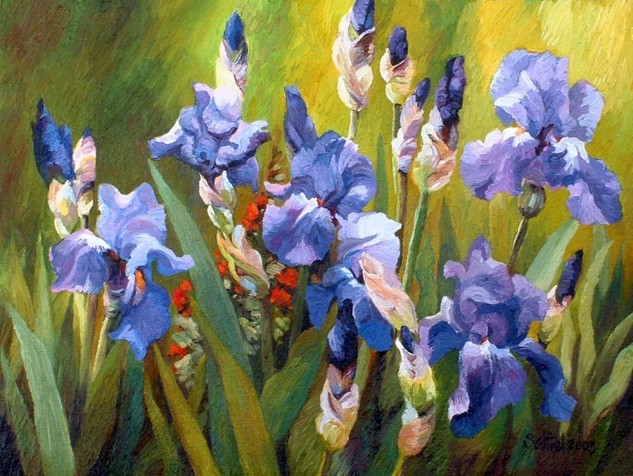 Ирисы в ландшафте