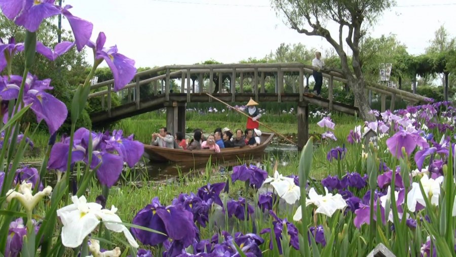 Водный сад ирисов. Савара, Япония