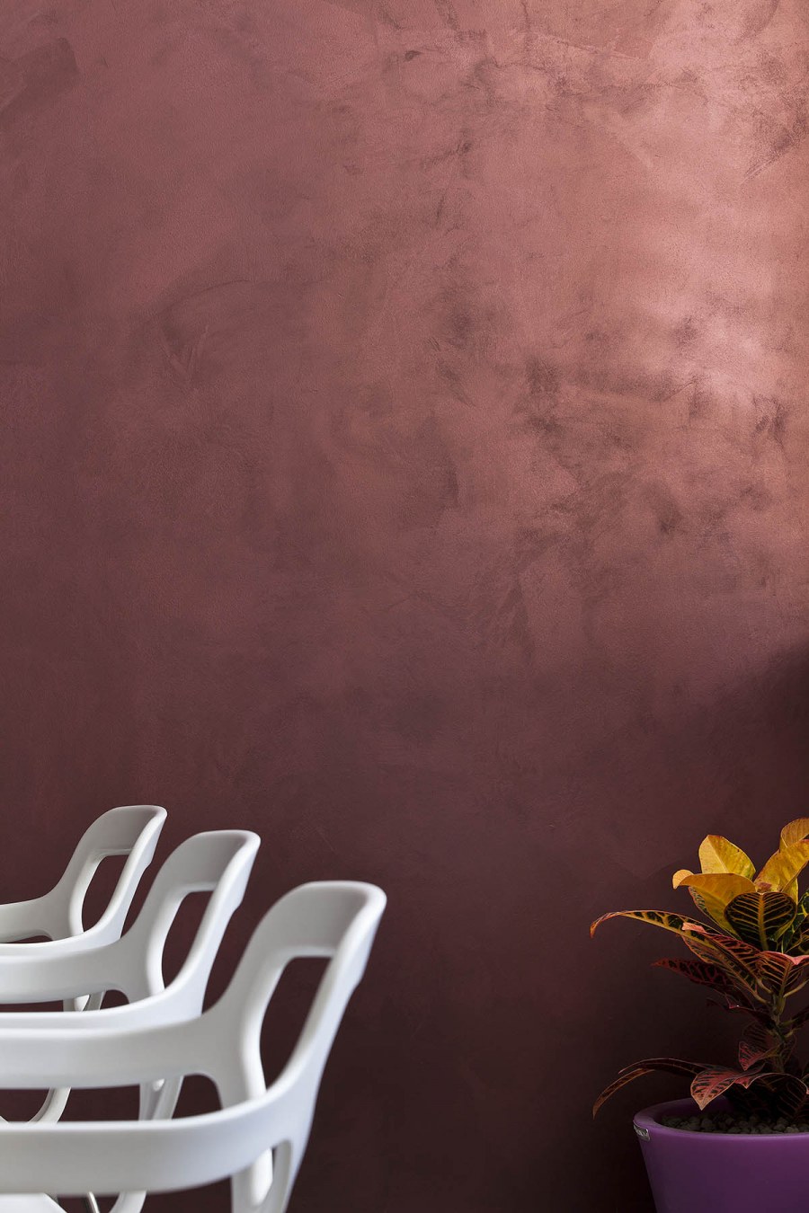 Отточенто Ойкос