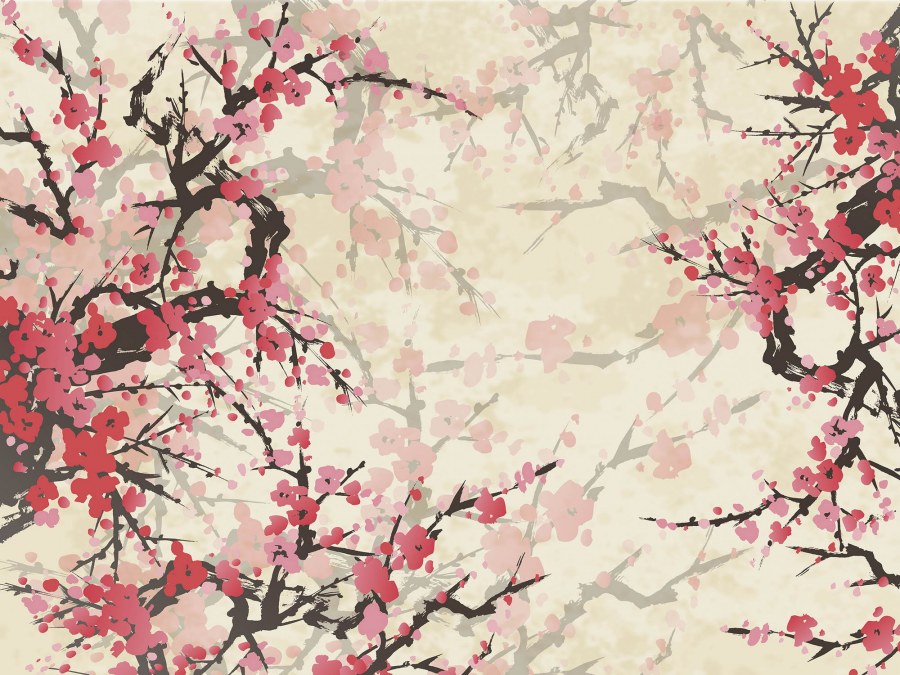 Фотообои Сакура на стену