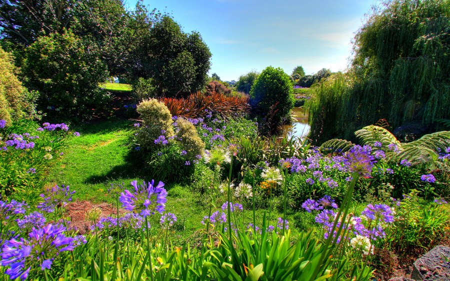 Сад со цветами природа