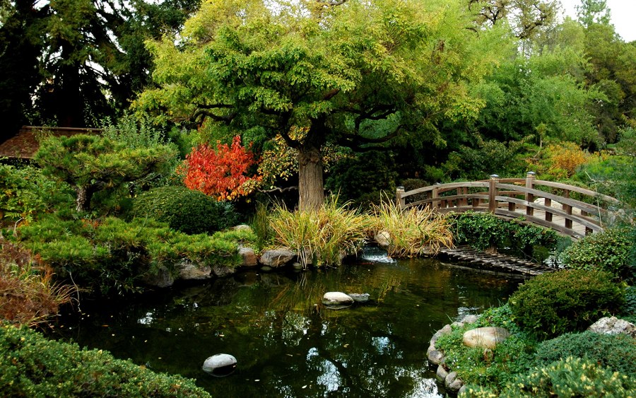 Хелен парк+ ландшафт