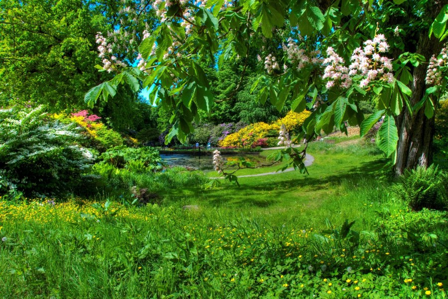 Красивый сад