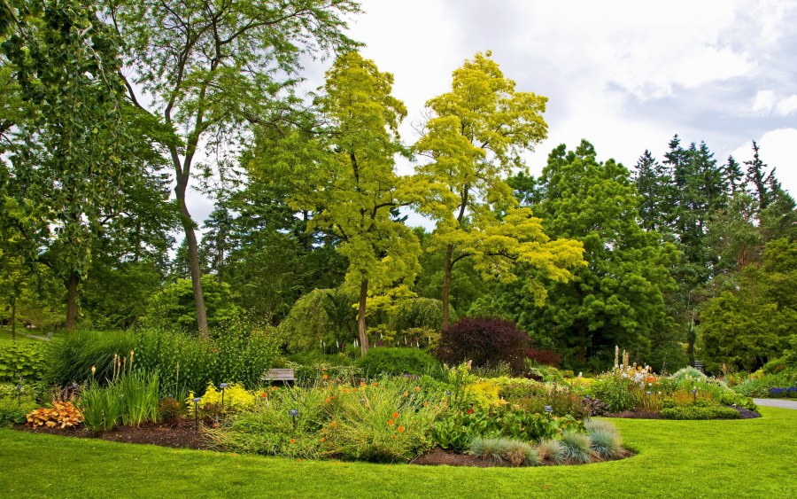 Природа парка Грин парк