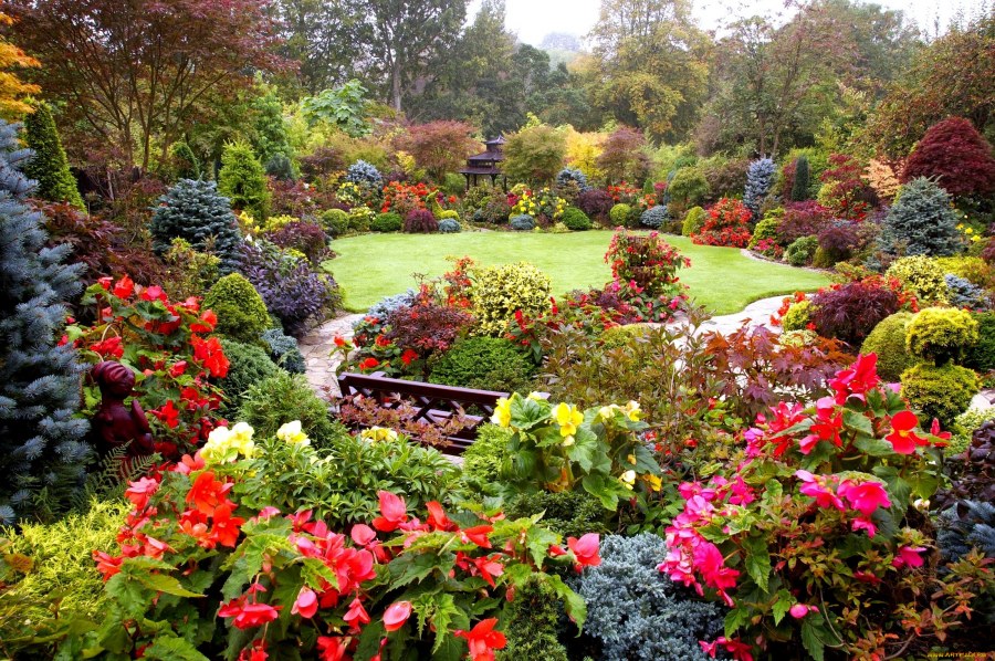 Красивый сад