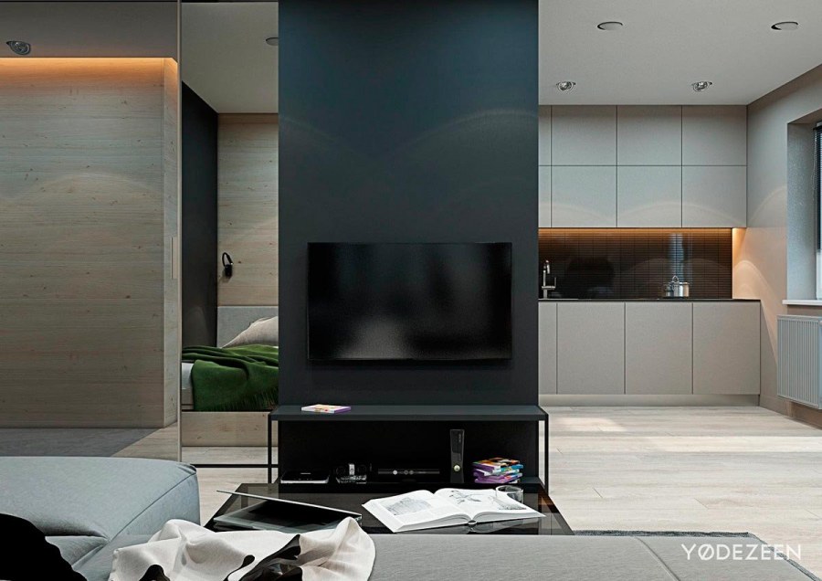 Перегородка с телевизором