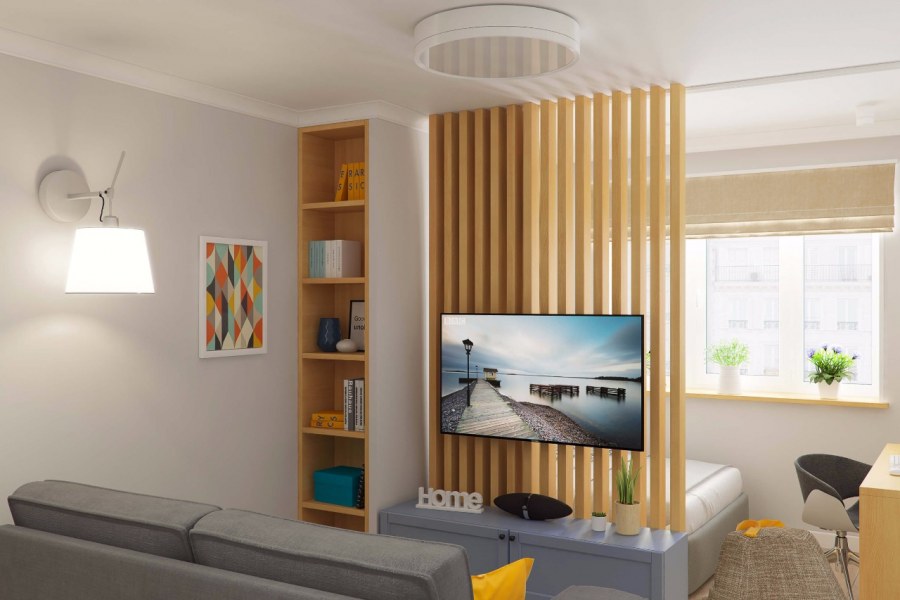 Перегородка с телевизором для зонирования