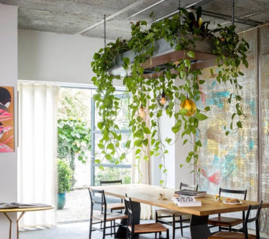 Подвесные цветы в интерьере