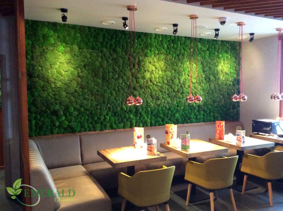 Мох в интерьере кафе