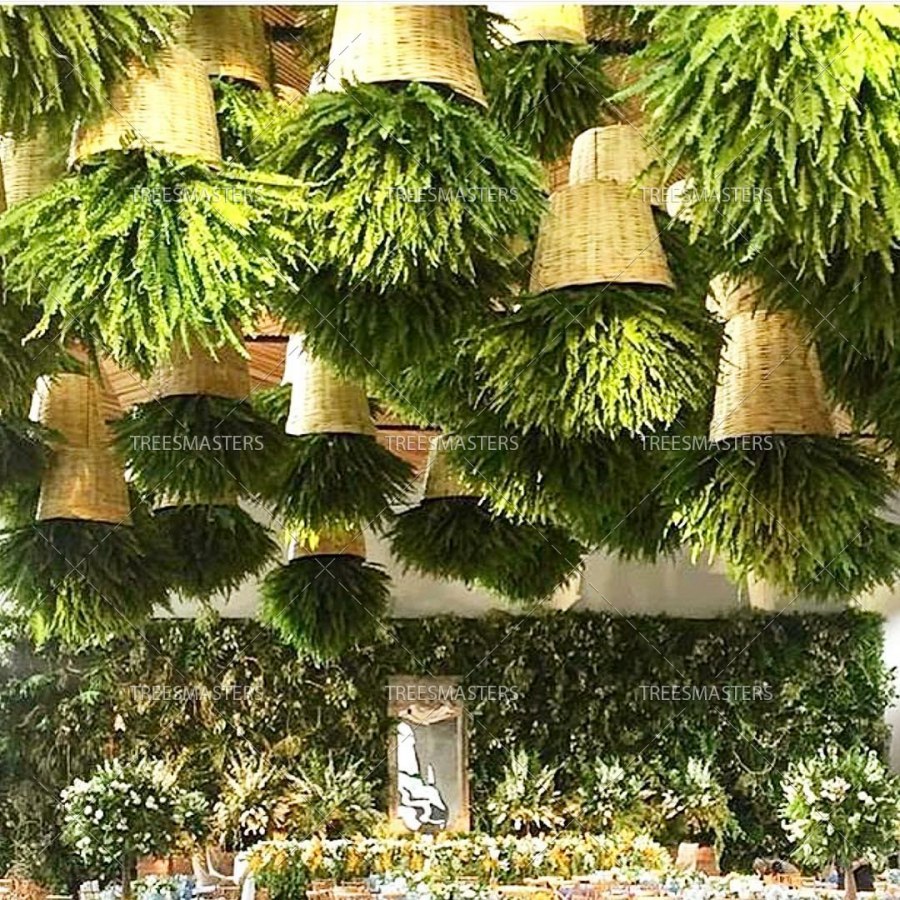 Зелень на потолке