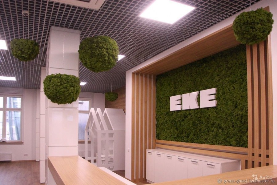 Green Room, ягель, стабилизированный мох