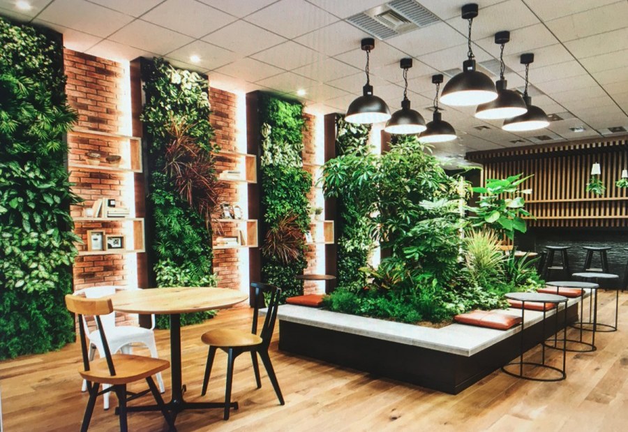 Зелень в интерьере кафе