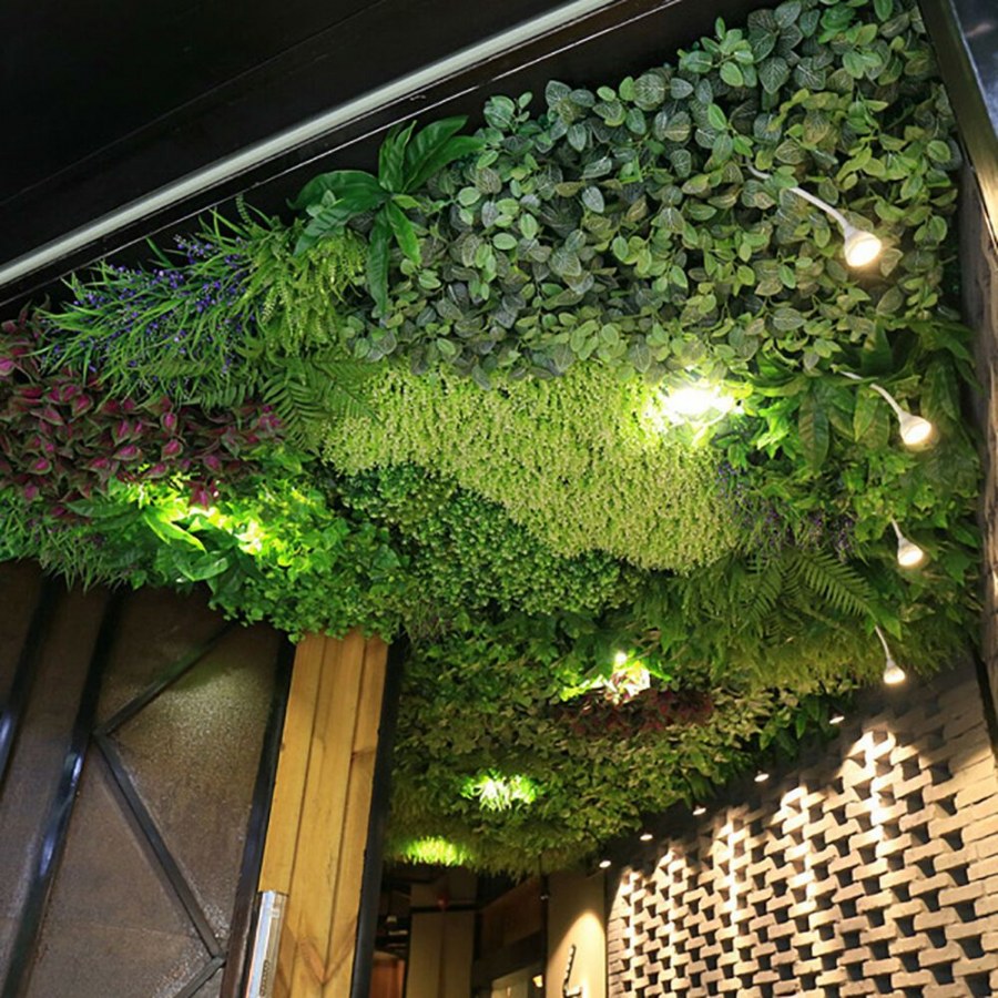 Фитостена Моховая