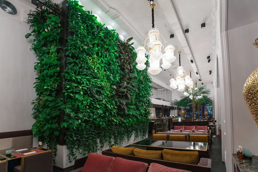 Озеленение ресторана фитостены