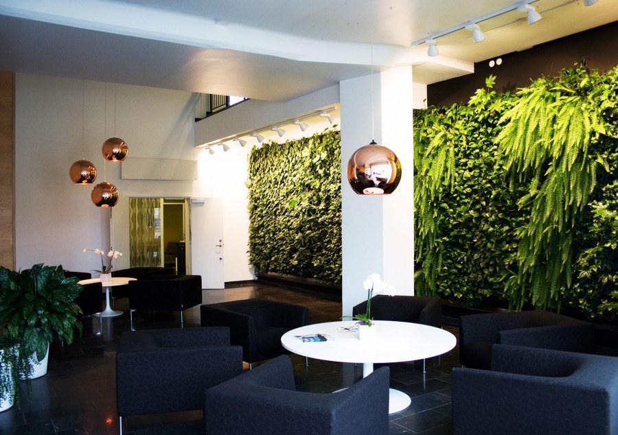 Озеленение кафе и ресторанов