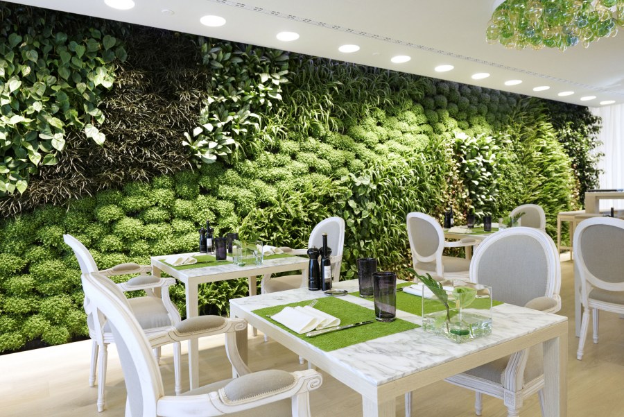 Фитодизайн в интерьере кафе