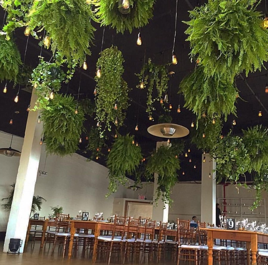 Подвесные растения на потолок