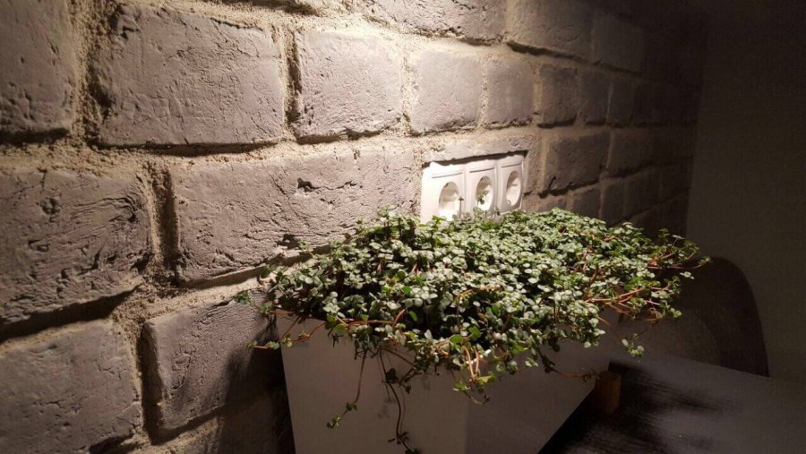 Ижора кирпич Сура