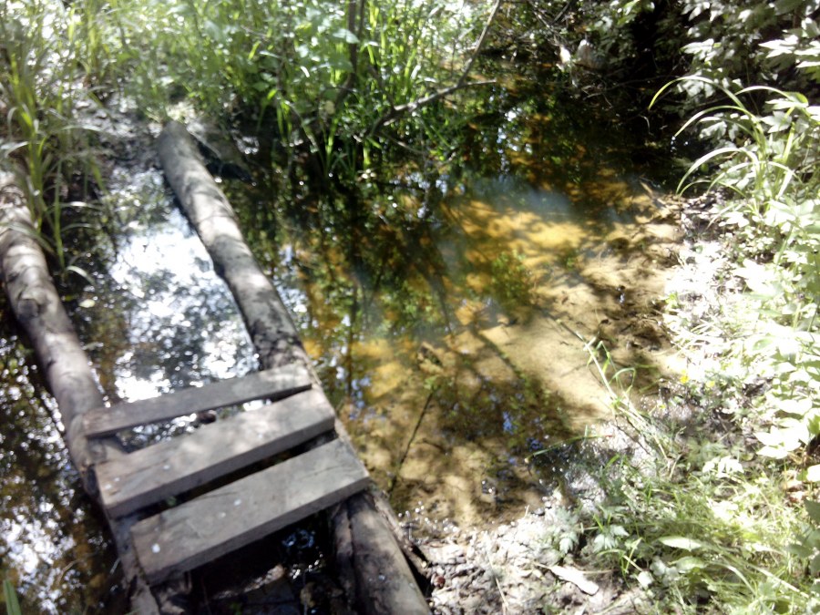 Озеро Лесное Дубковский лес